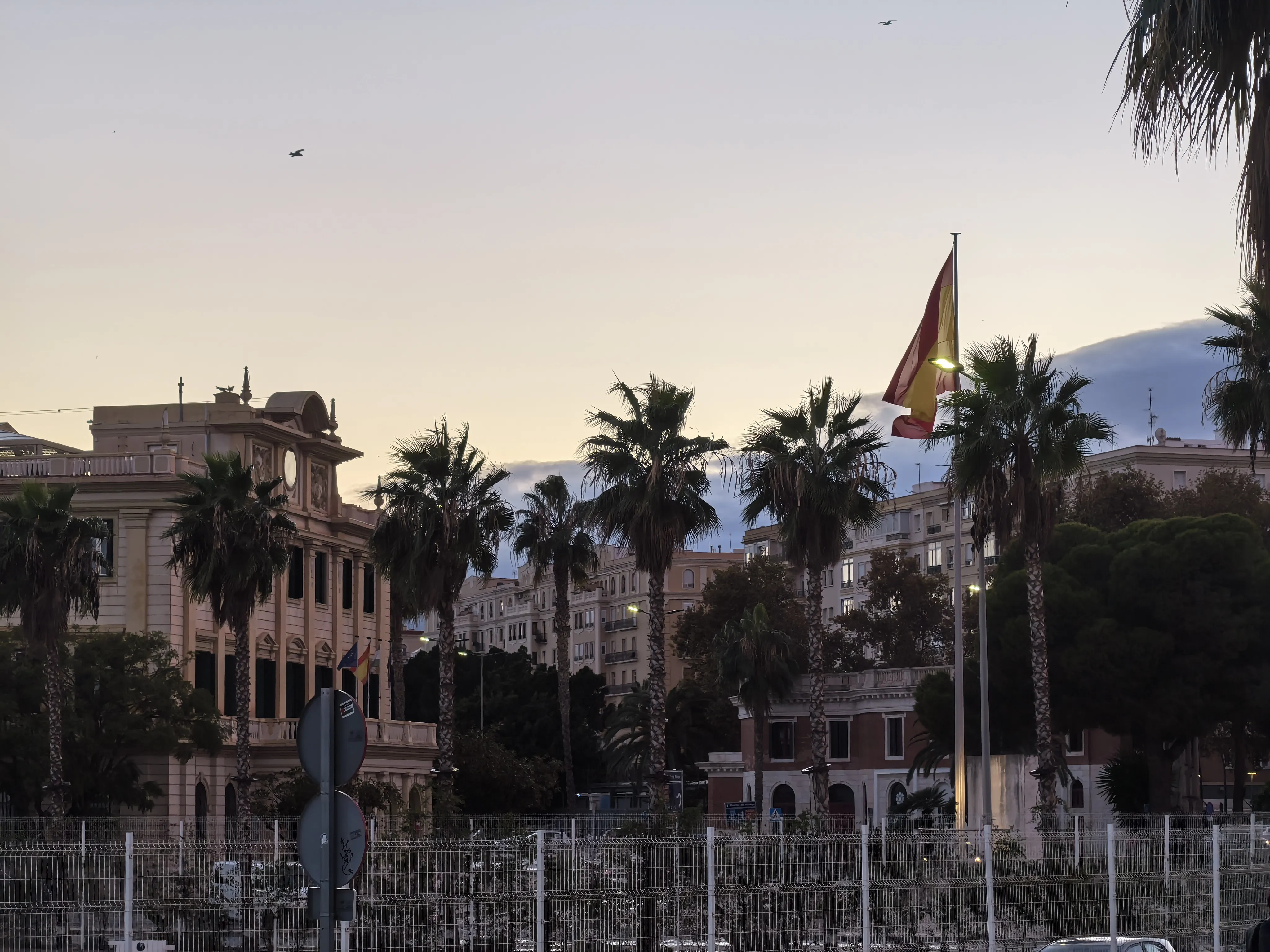 HUAWEI Pura 70 Ultra - System Aparatów - IMG_20251117_180900_1.webp